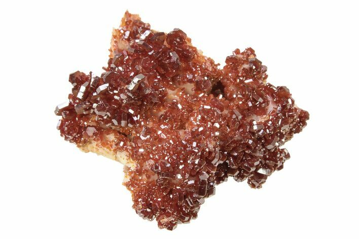 Glittering, Ruby Red Vanadinite Crystals on Barite - Morocco #278245
